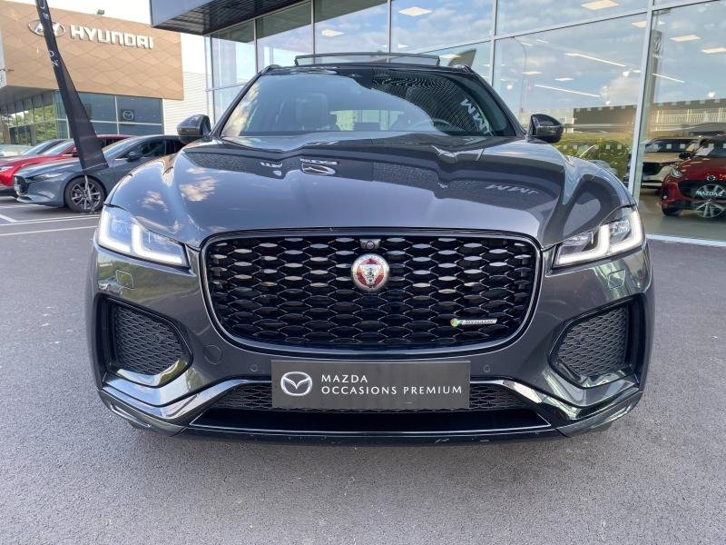 jaguar - Visuel 1