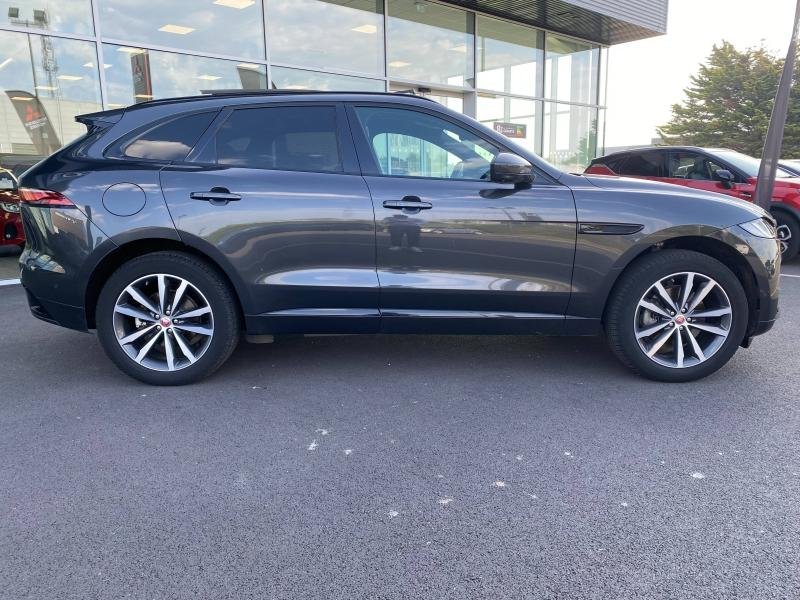 jaguar - Visuel 3