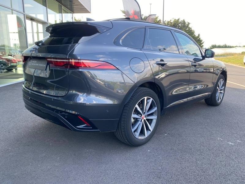 jaguar - Visuel 4