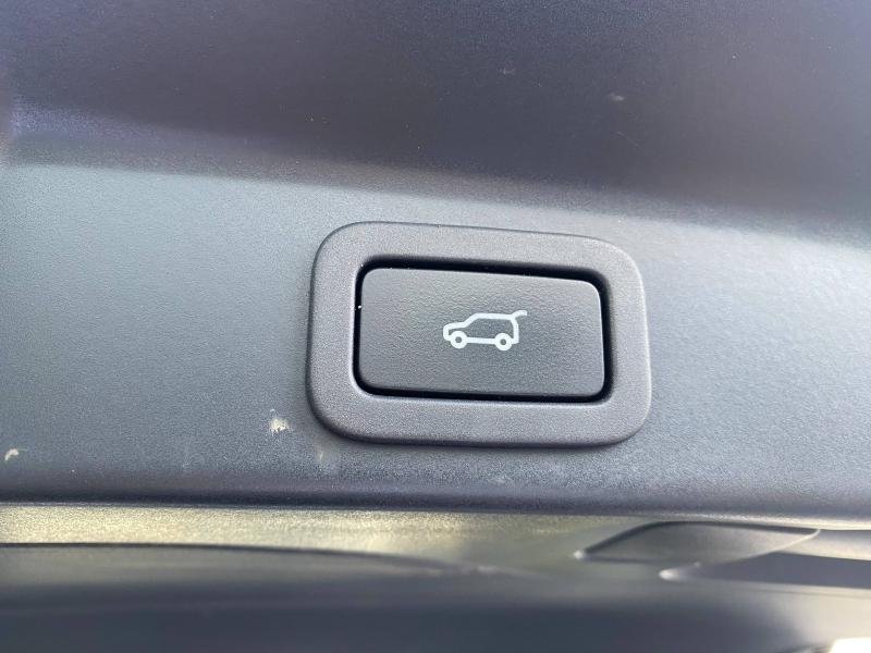 jaguar - Visuel 7
