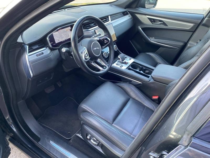jaguar - Visuel 10